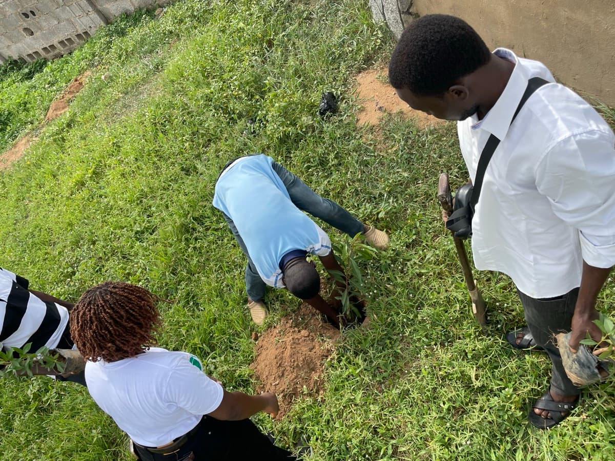 Community tree planting