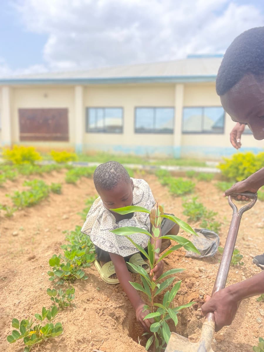 Community tree planting activity